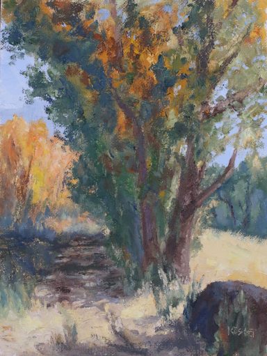 Cottonwood Alley Cottonwood Alley
