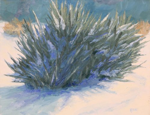 Yucca in Snow, plein air Yucca in Snow, plein air